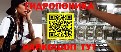МДПВ Заволжье