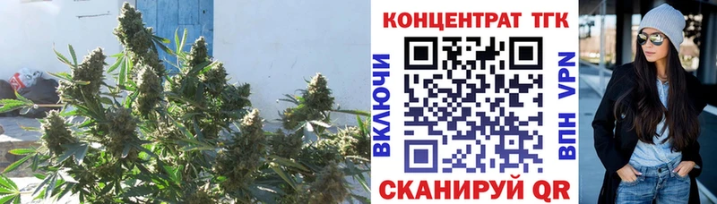 ТГК Wax Урай