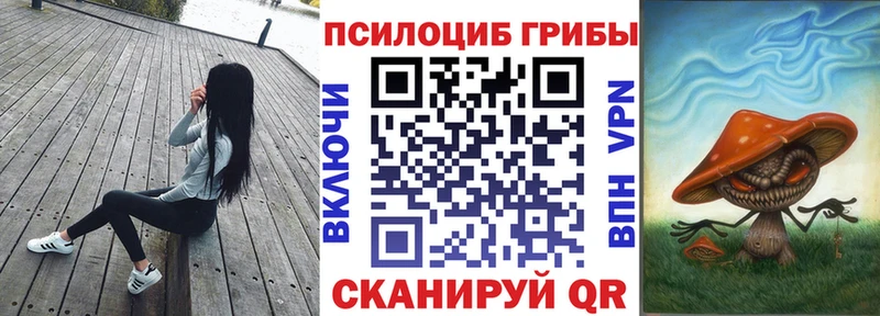 Галлюциногенные грибы Psilocybe  цены наркотик  Урай 