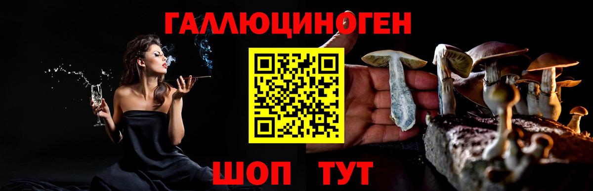 Галлюциногенные грибы Psilocybe Урай